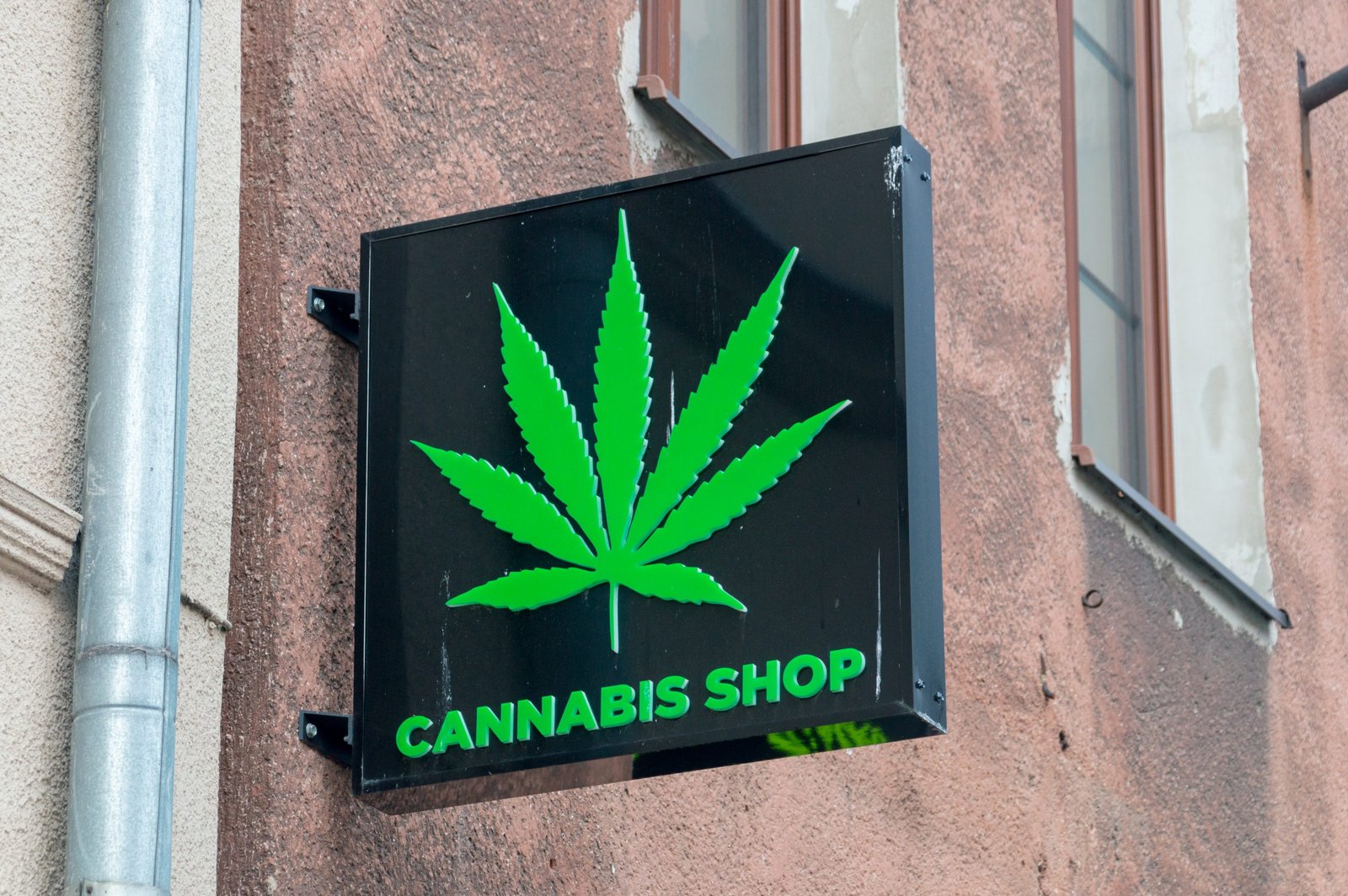 Gdansk, Poland - January 27, 2020: Cannabis shop logo and sign o